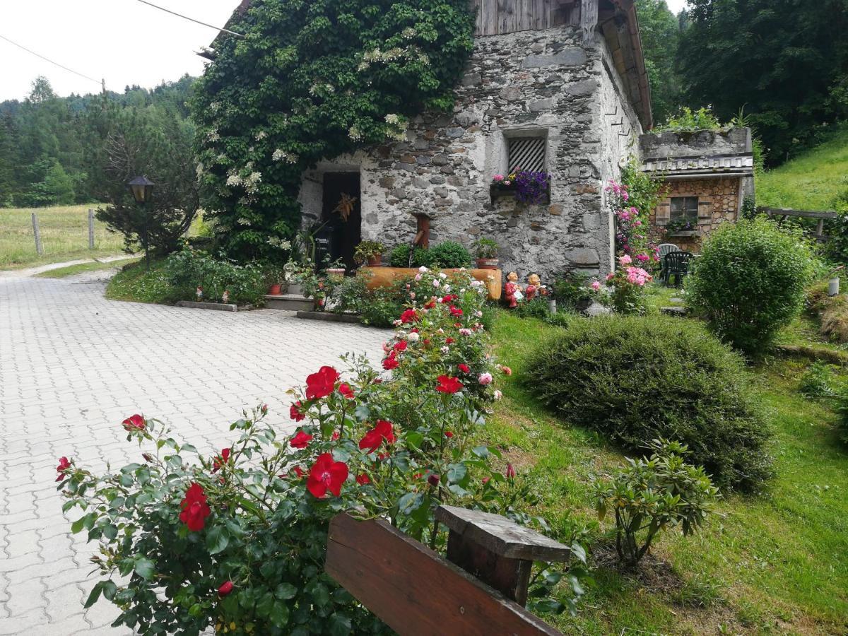 Bed and Breakfast Muehlnerhof Familie Gruber Aich  Exteriér fotografie